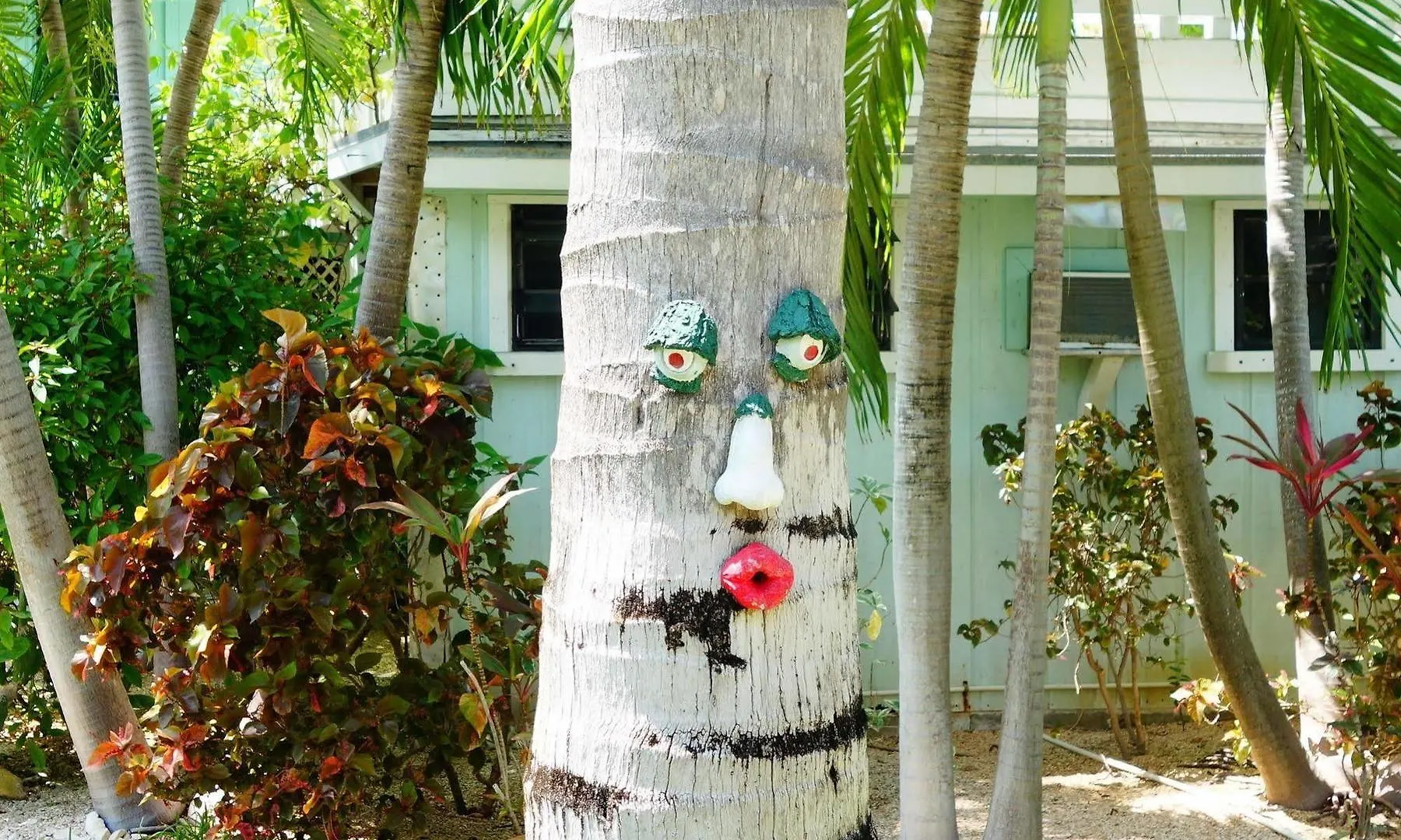 South Fleetwood Grace Bay Hotel 3*,  Turks And Caicos Islands